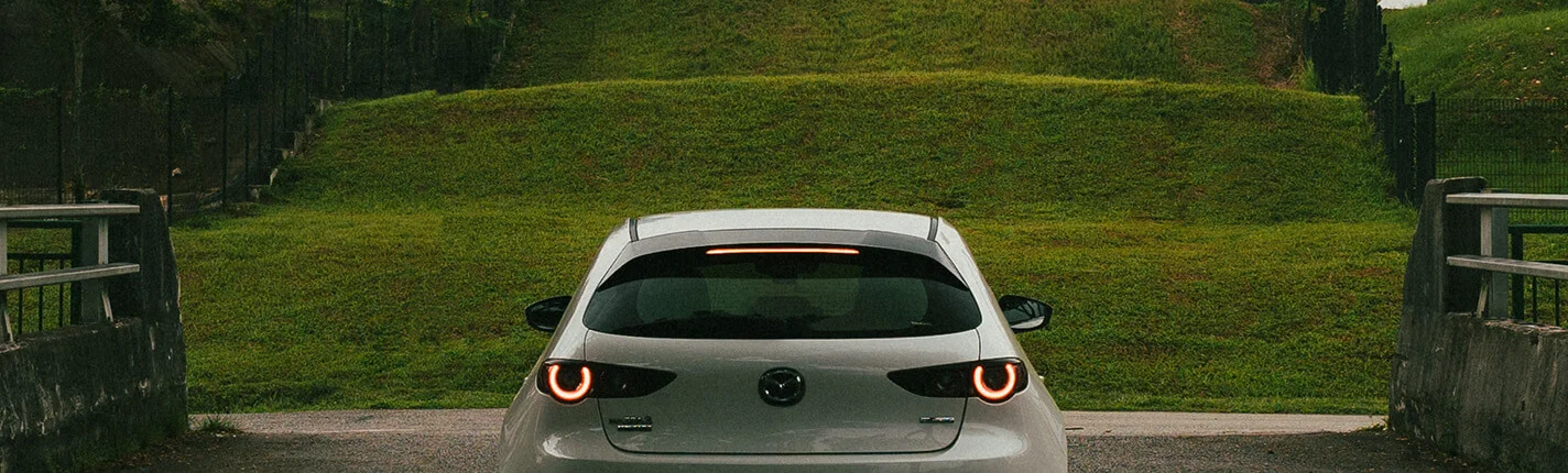 White car rear view with glowing taillights in a green landscape.