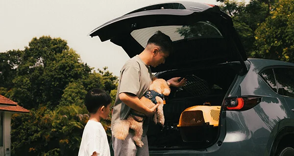 Father and son preparing pet dog for a car journey with a yellow carrier in the open trunk.